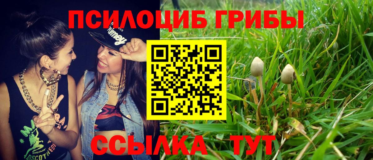даркнет сайт  Псилоцибиновые грибы Magic Shrooms  Вход с VPN  Среднеуральск  Псилоцибиновые грибы Magic Shrooms 